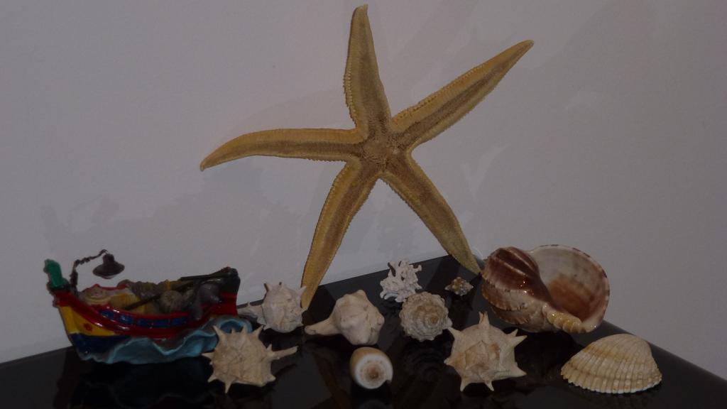 Apartamento Sea Star Cefalú Habitación foto